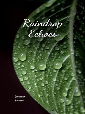 cover image of Raindrop Echoes